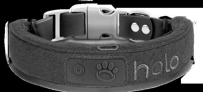 Read This Before Investing In GPS Dog Collar